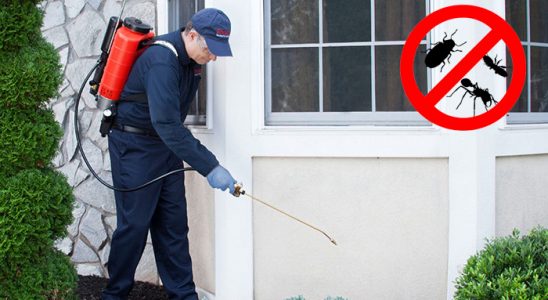 Gümüşpala Uçan Haşere İlaçlama böcek ilaçlama ve haşere kontrolü — ilaclama-tr.com